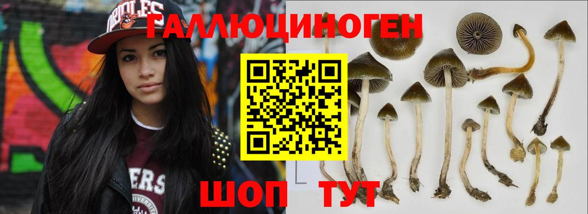 Галлюциногенные грибы мухоморы  Галлюциногенные грибы Psilocybine cubensis  Острогожск  даркнет сайт  Вход с VPN 
